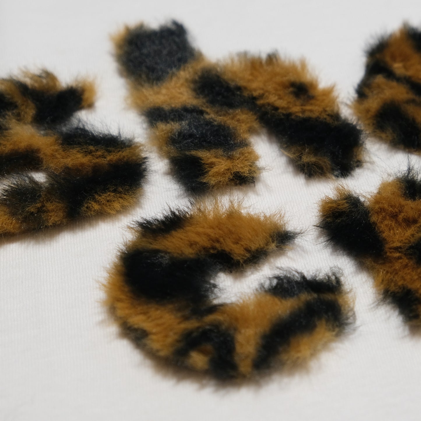 Koszulka "She Crazy? 3"